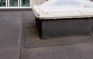 disadvantages of Lintzgarth flat roofs